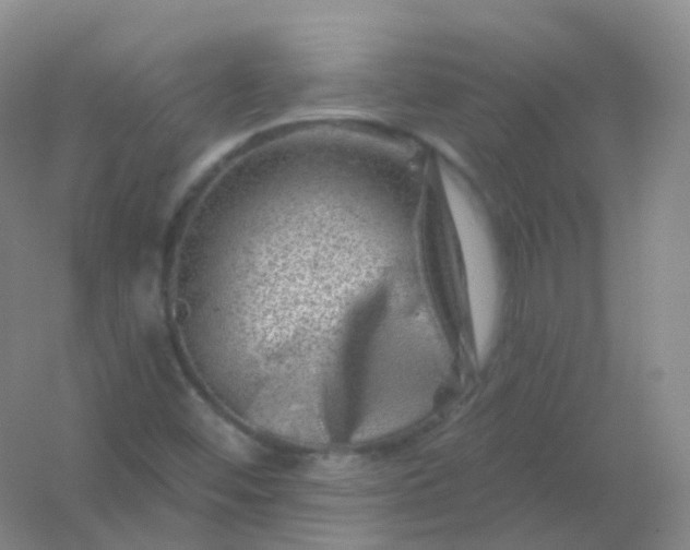 X0000054461452200508121925