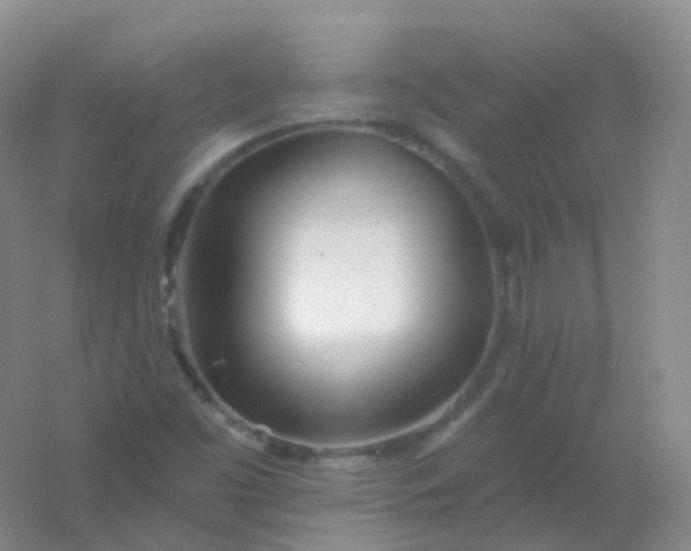 X0000054461453200508121925