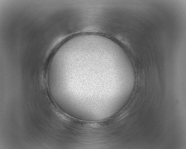 X0000054461454200508121924