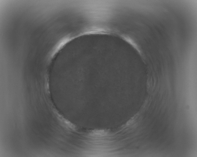 X0000054461455200508121924