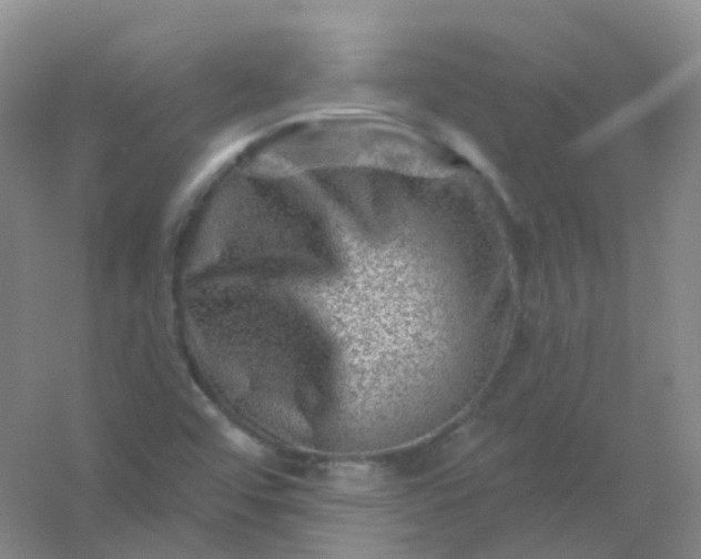 X0000054461456200508121924