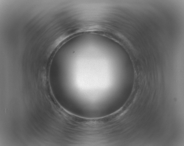 X0000054461457200508121924