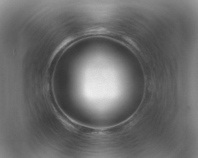 X0000054461458200508121924