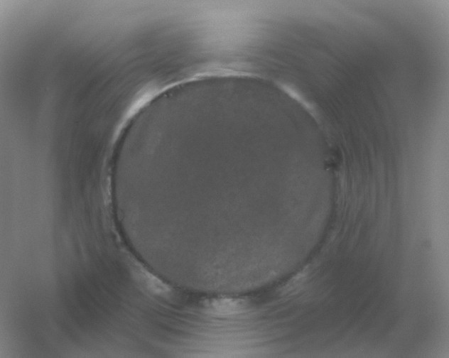 X0000054461459200508121924