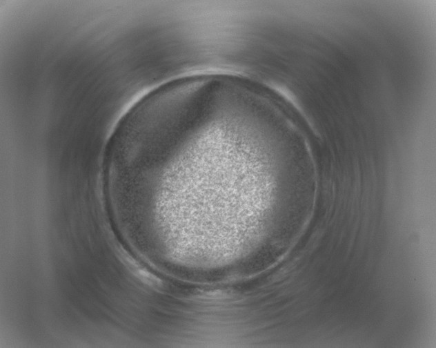 X0000054461460200508121924