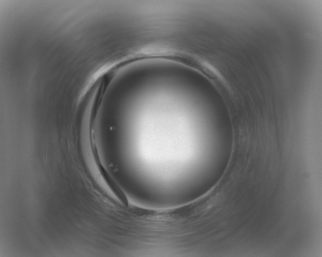 X0000054461461200508121924