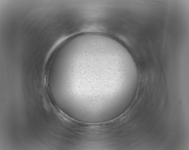 X0000054461462200508121924