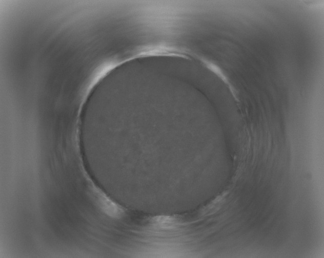 X0000054461463200508121924