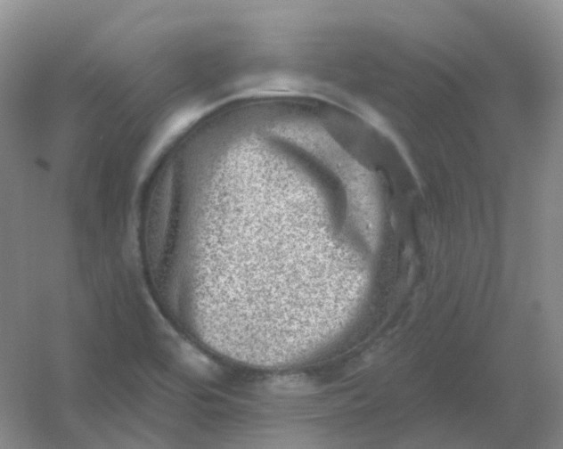 X0000054461464200508121924