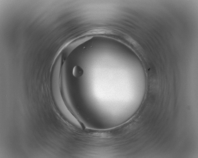 X0000054461465200508121924