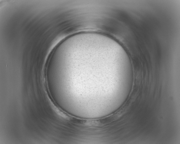 X0000054461466200508121924