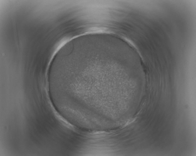 X0000054461467200508121924