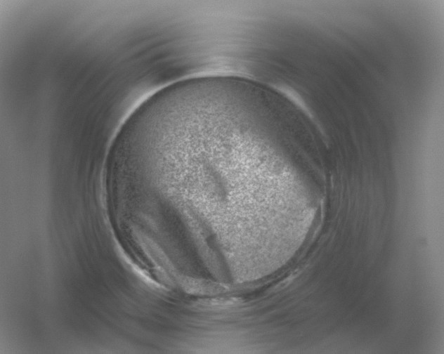 X0000054461468200508121924