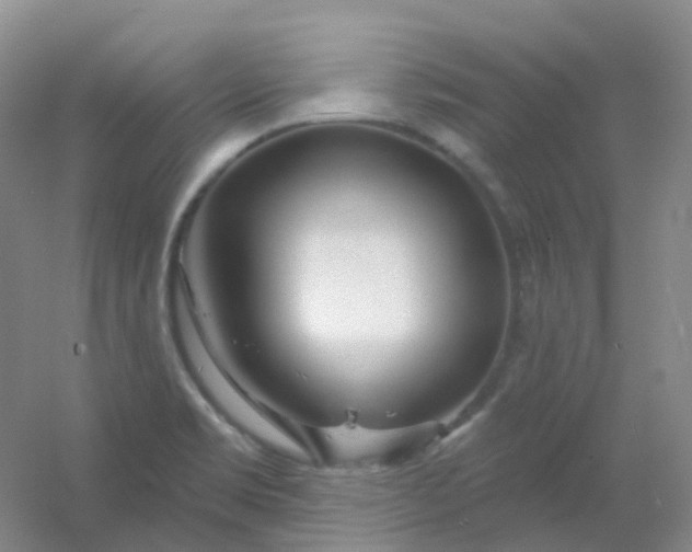 X0000054461469200508121924