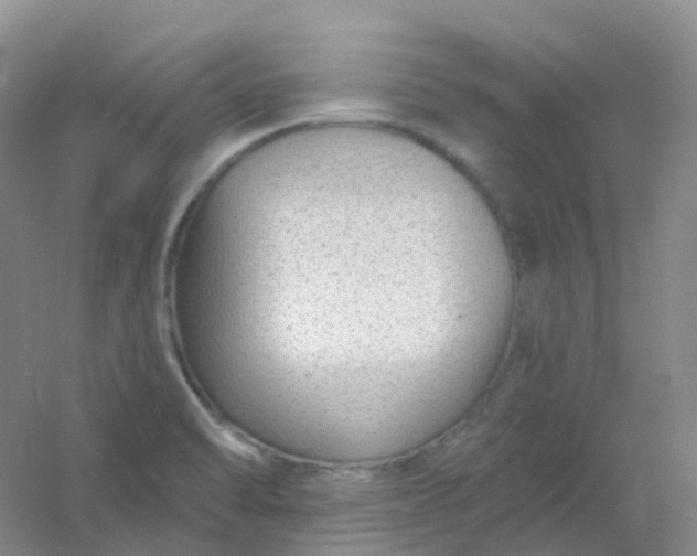 X0000054461470200508121924