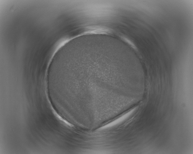 X0000054461471200508121924