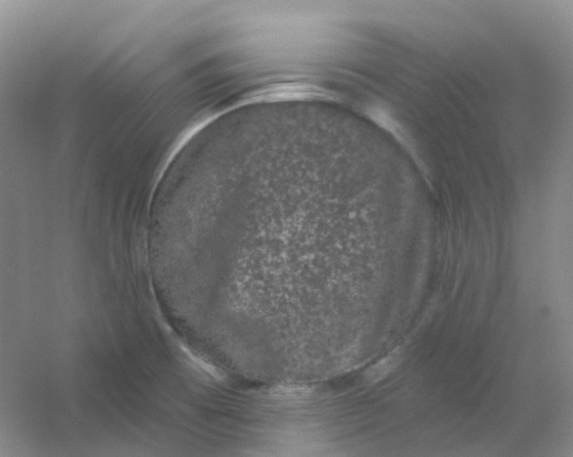 X0000054461473200508121924