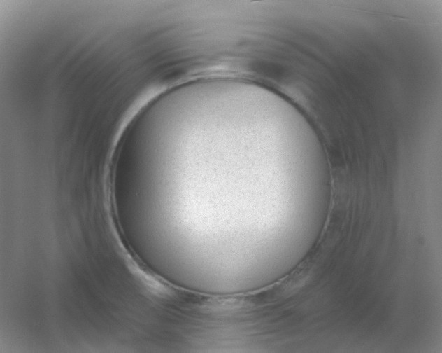 X0000054461474200508121924