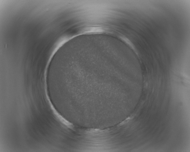 X0000054461475200508121924