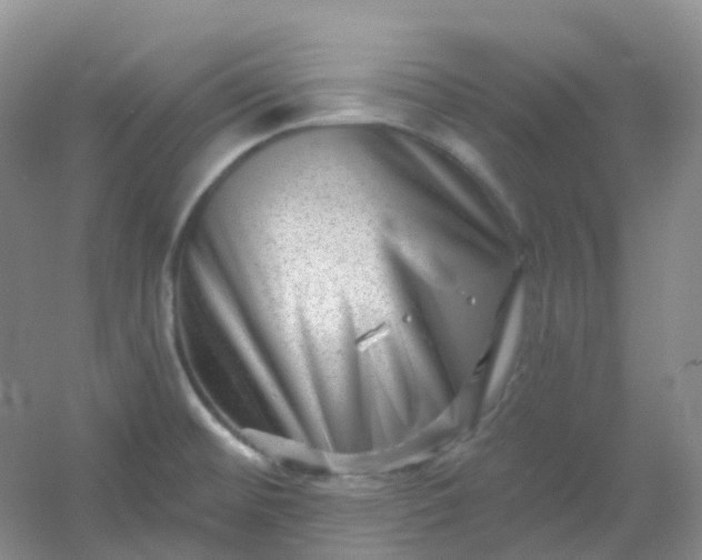 X0000054461476200508121924