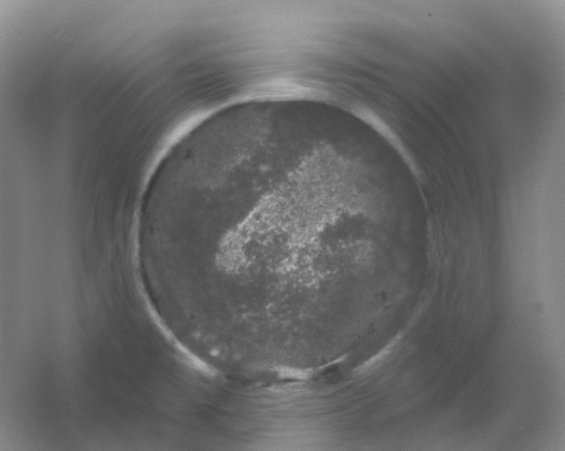 X0000054461477200508121924