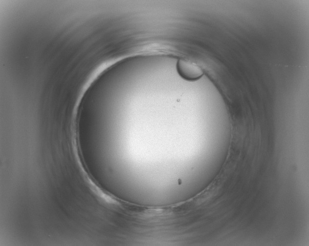 X0000054461478200508121924