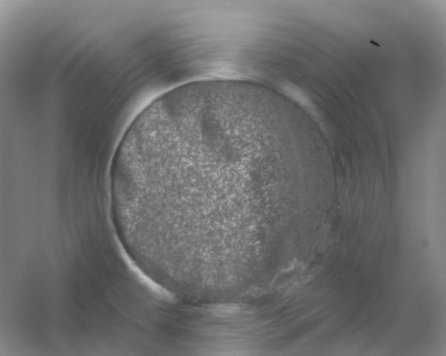 X0000054461479200508121924