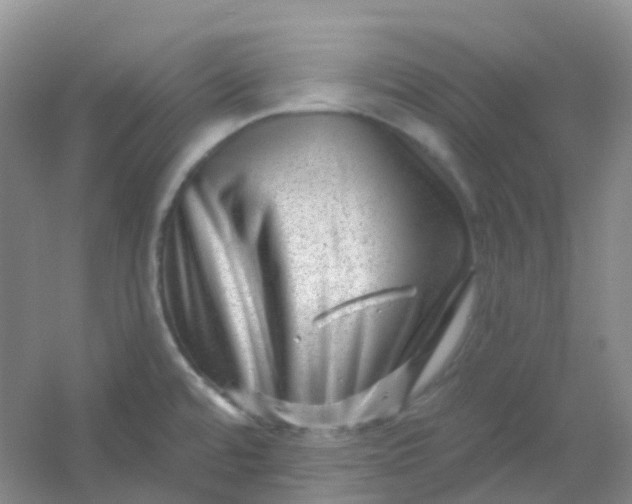 X0000054461480200508121924