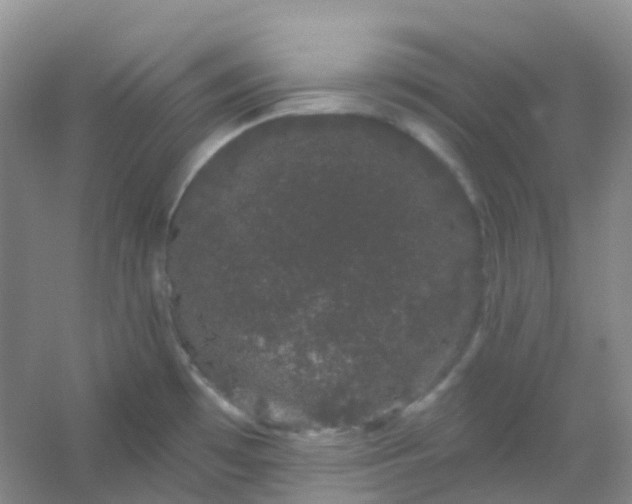 X0000054461481200508121924