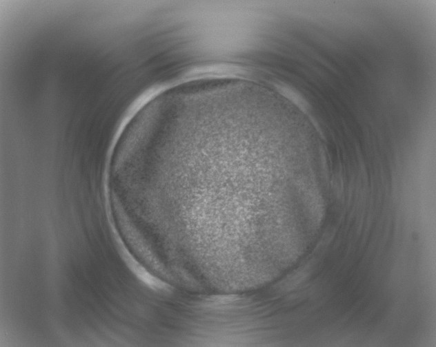 X0000054461482200508121924