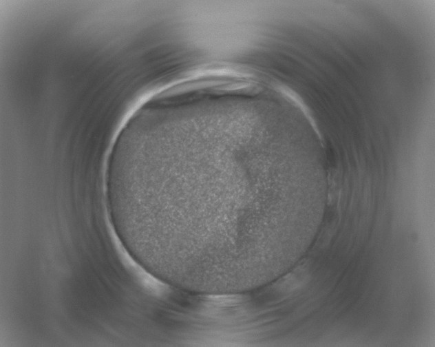 X0000054461483200508121924