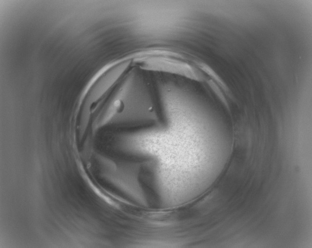 X0000054461484200508121924