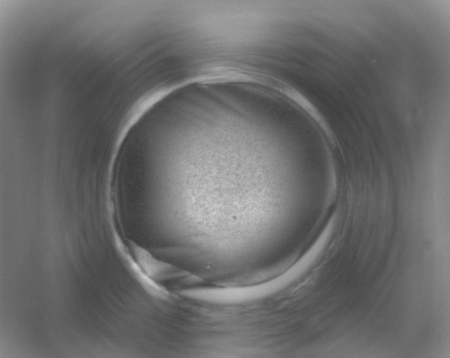 X0000054461485200508121924