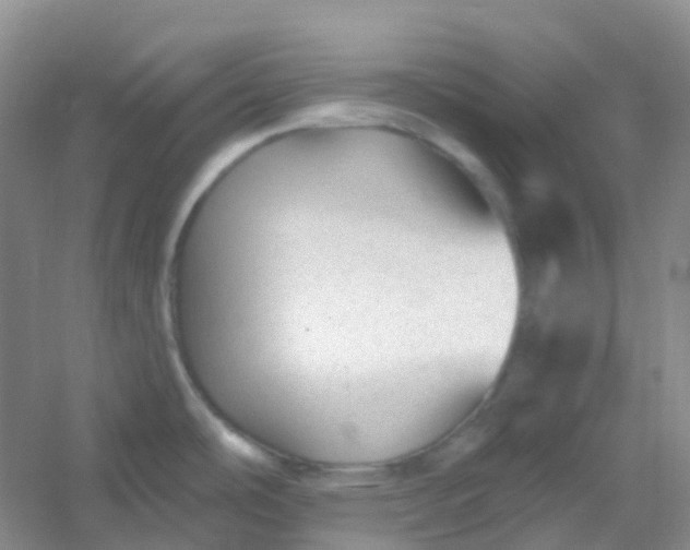 X0000054461486200508121924