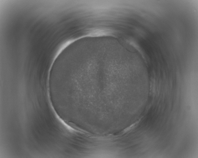 X0000054461487200508121924