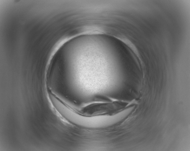 X0000054461488200508121924