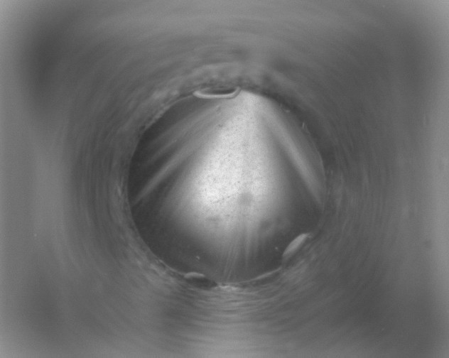 X0000054461489200508121923