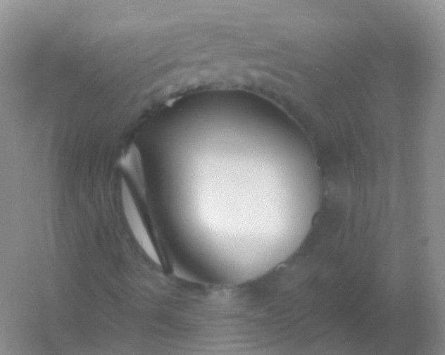 X0000054461490200508121923