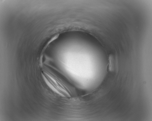 X0000054461491200508121923