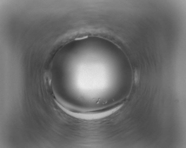 X0000054461492200508121923