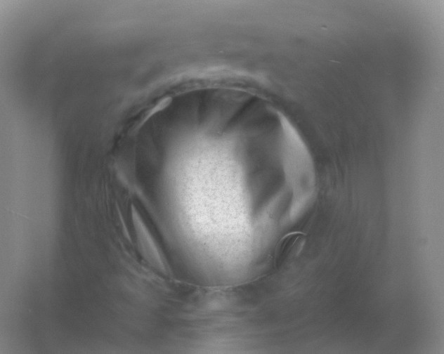 X0000054461493200508121923