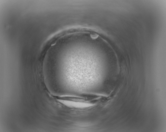 X0000054461494200508121923