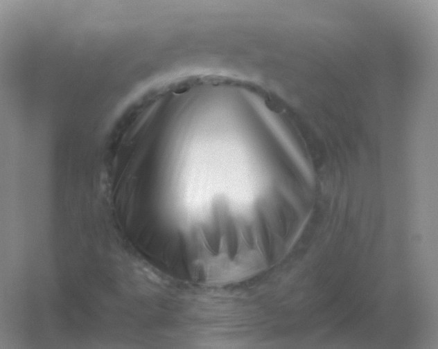 X0000054461495200508121923