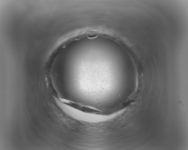 X0000054461496200508121923