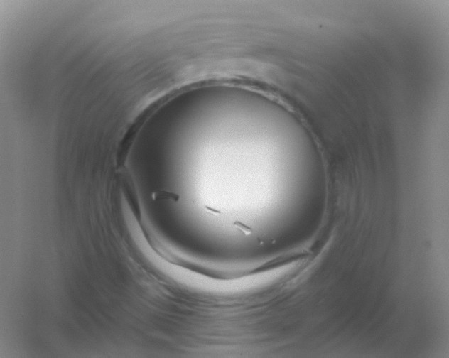 X0000054461497200508121923