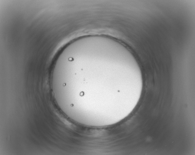 X0000054461498200508121923