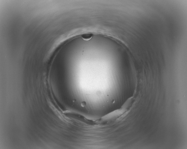 X0000054461499200508121923