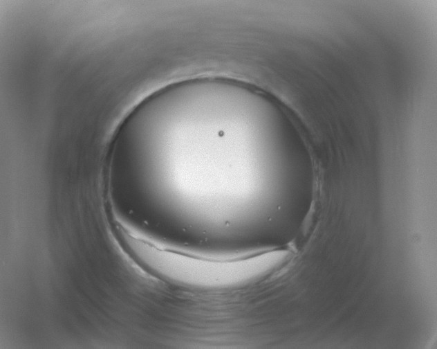 X0000054461500200508121923