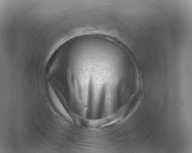 X0000054461501200508121923