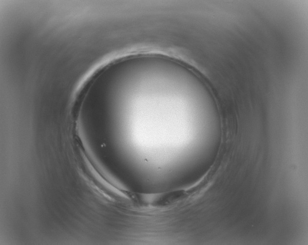 X0000054461502200508121923